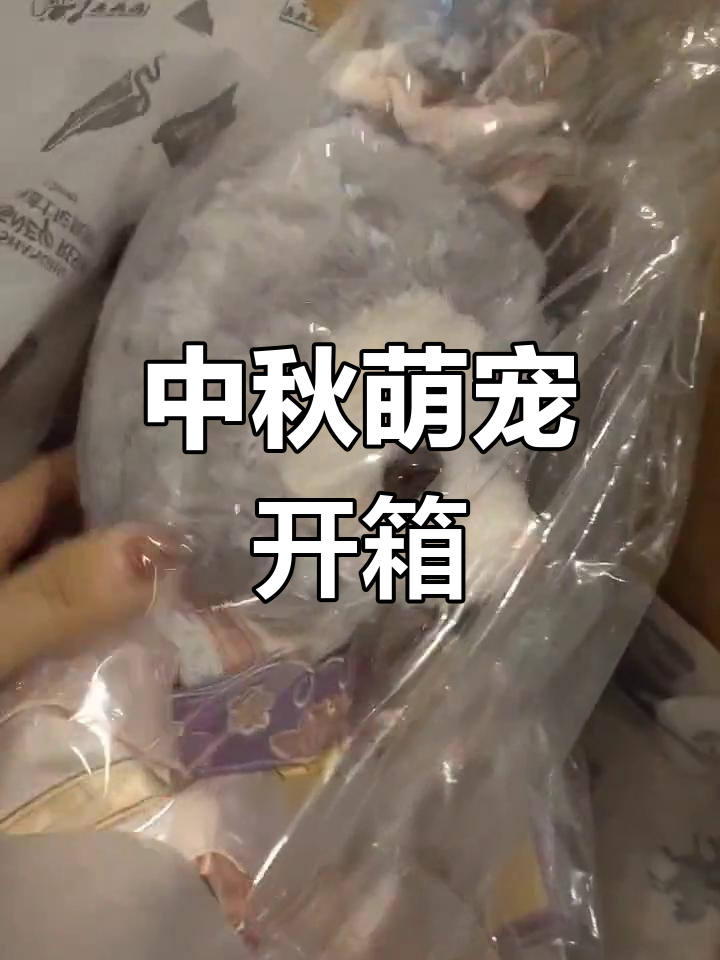 第一次尝试,星黛露超萌!中秋系列小伙伴来啦～