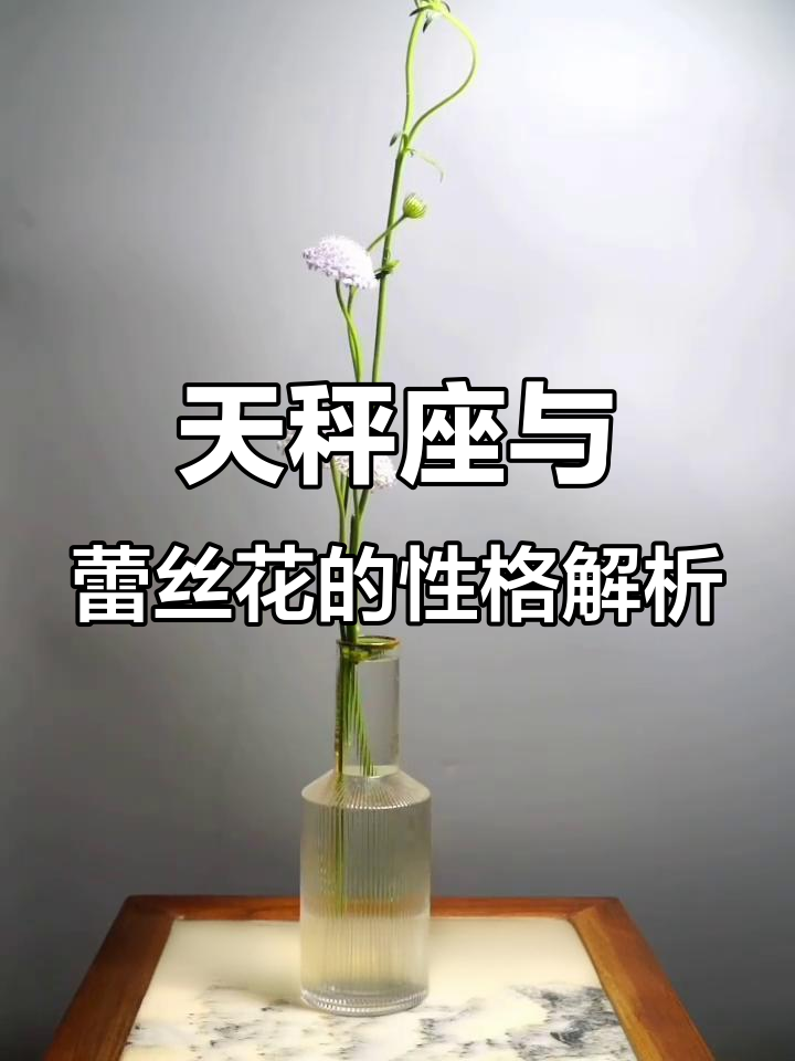 天秤座的守护花蕾丝花:温柔、善良与公正的完美结合