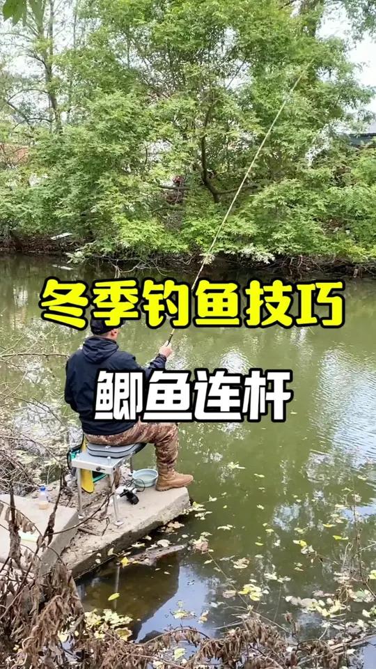 冬季钓鱼口轻怎么办,找对方法,每一竿都是大顿口,鲫鱼连杆不停 最适合冬天的钓鱼经验来了 速