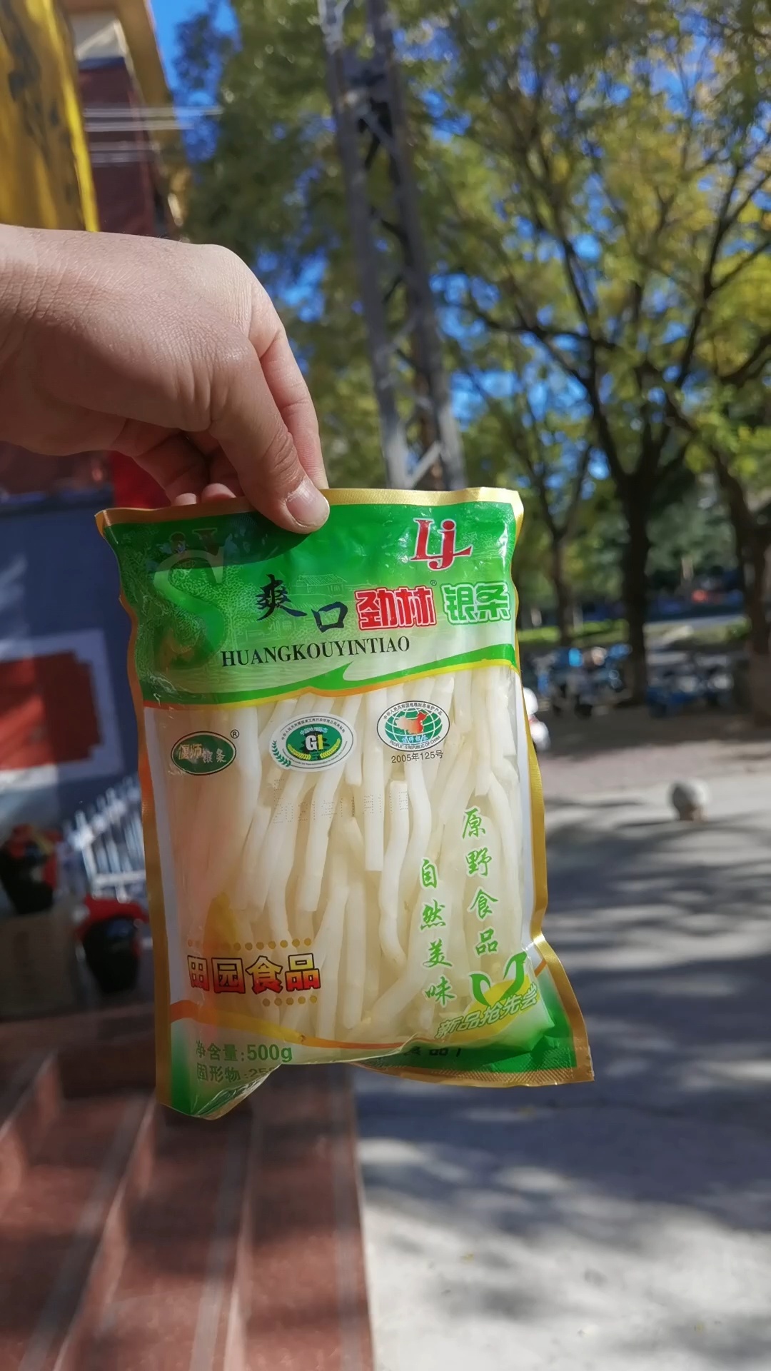 河南特产偃师银条菜,美味停不下来