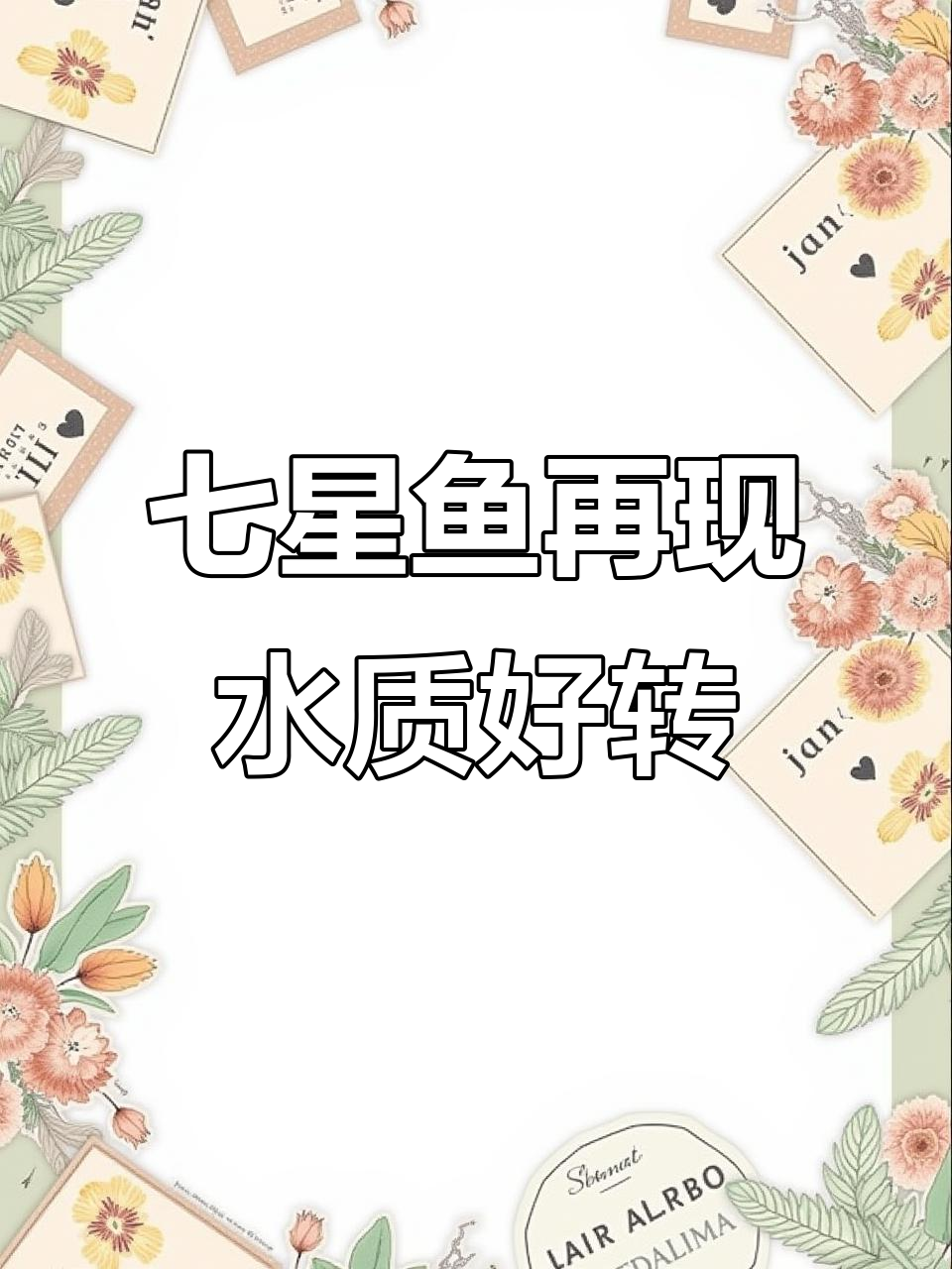 广东发现罕见七星鱼，水质改善让它们重现江湖