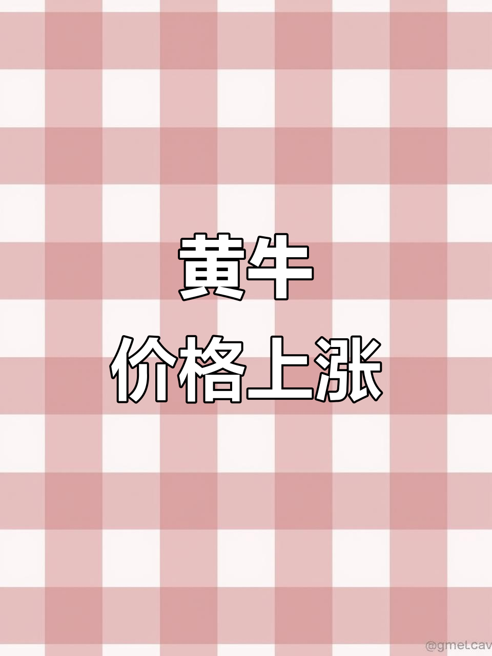 10月24日山东活牛价格大涨,黄牛市场迎新机遇