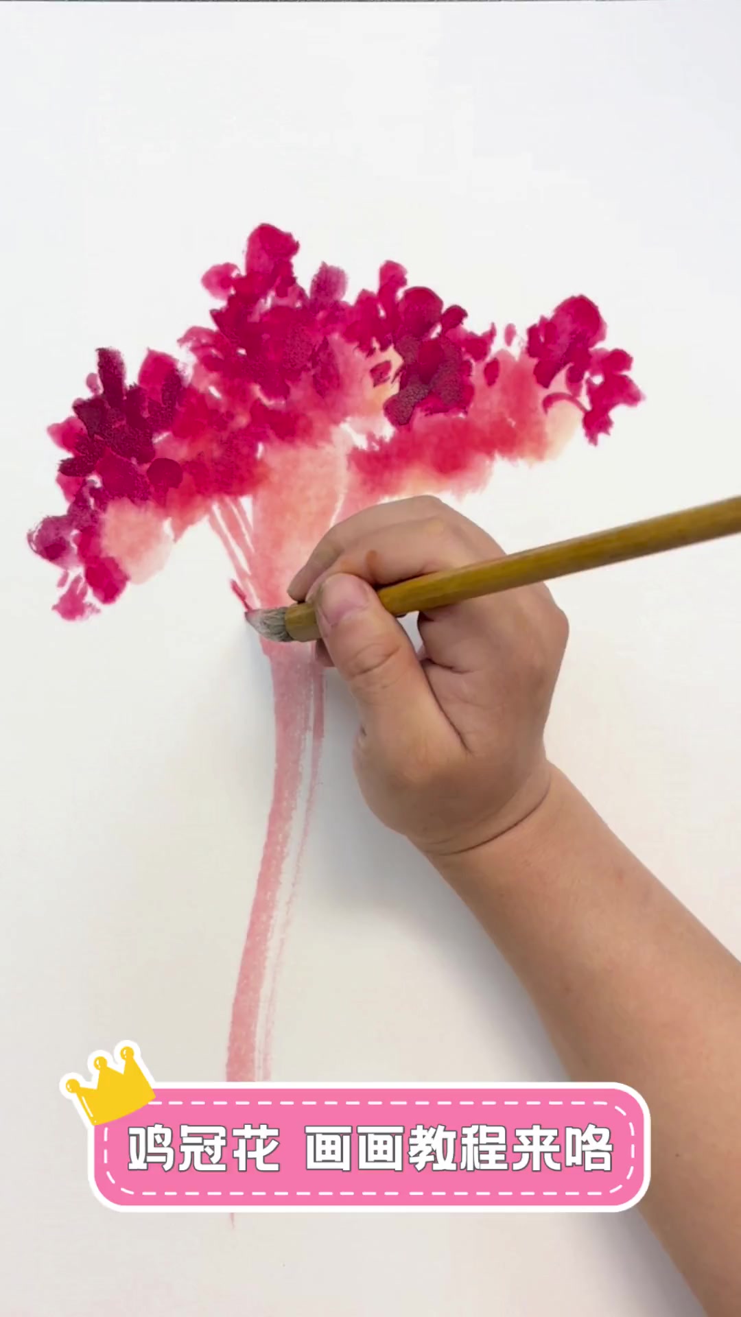 鸡冠花,画画教程来咯