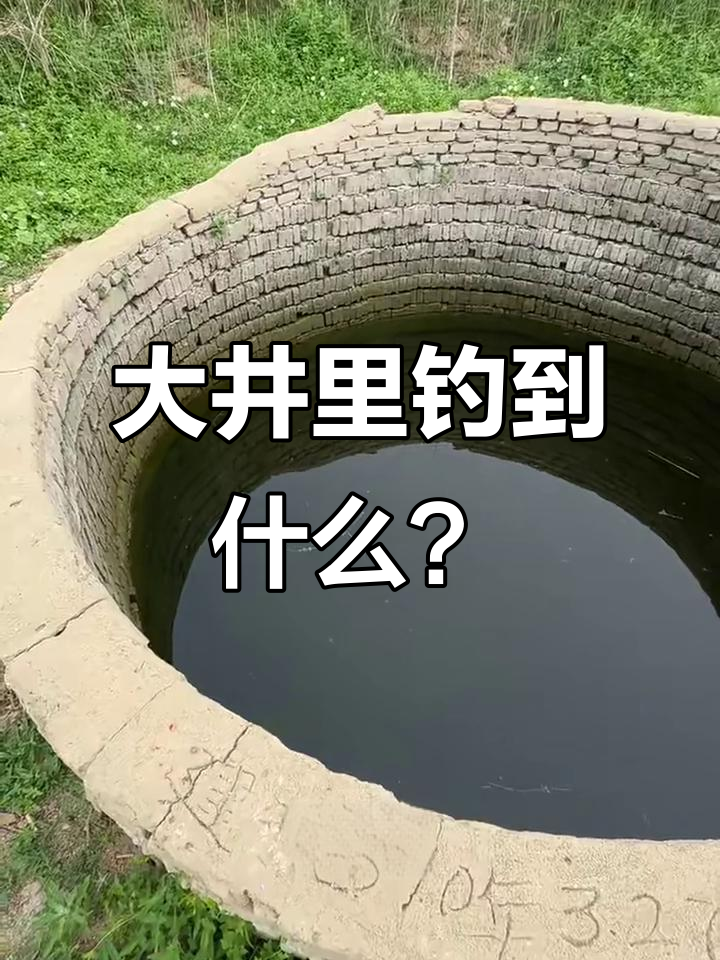 十多年废弃大井竟藏鱼,大爷自留地曝光