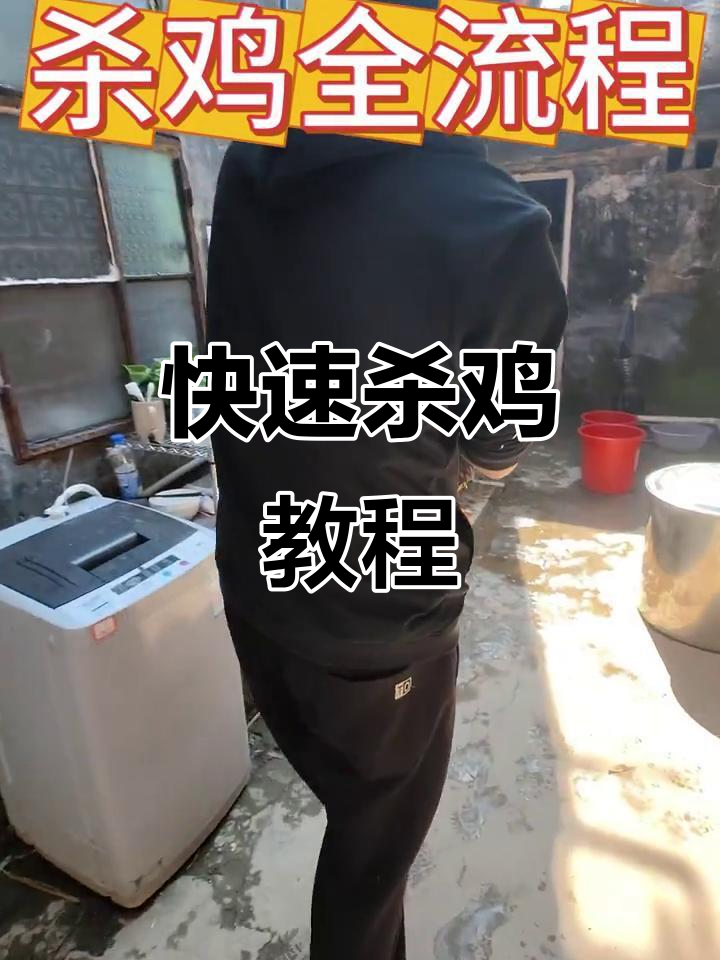 保姆教你轻松杀鸡，完美去毛技巧大揭秘