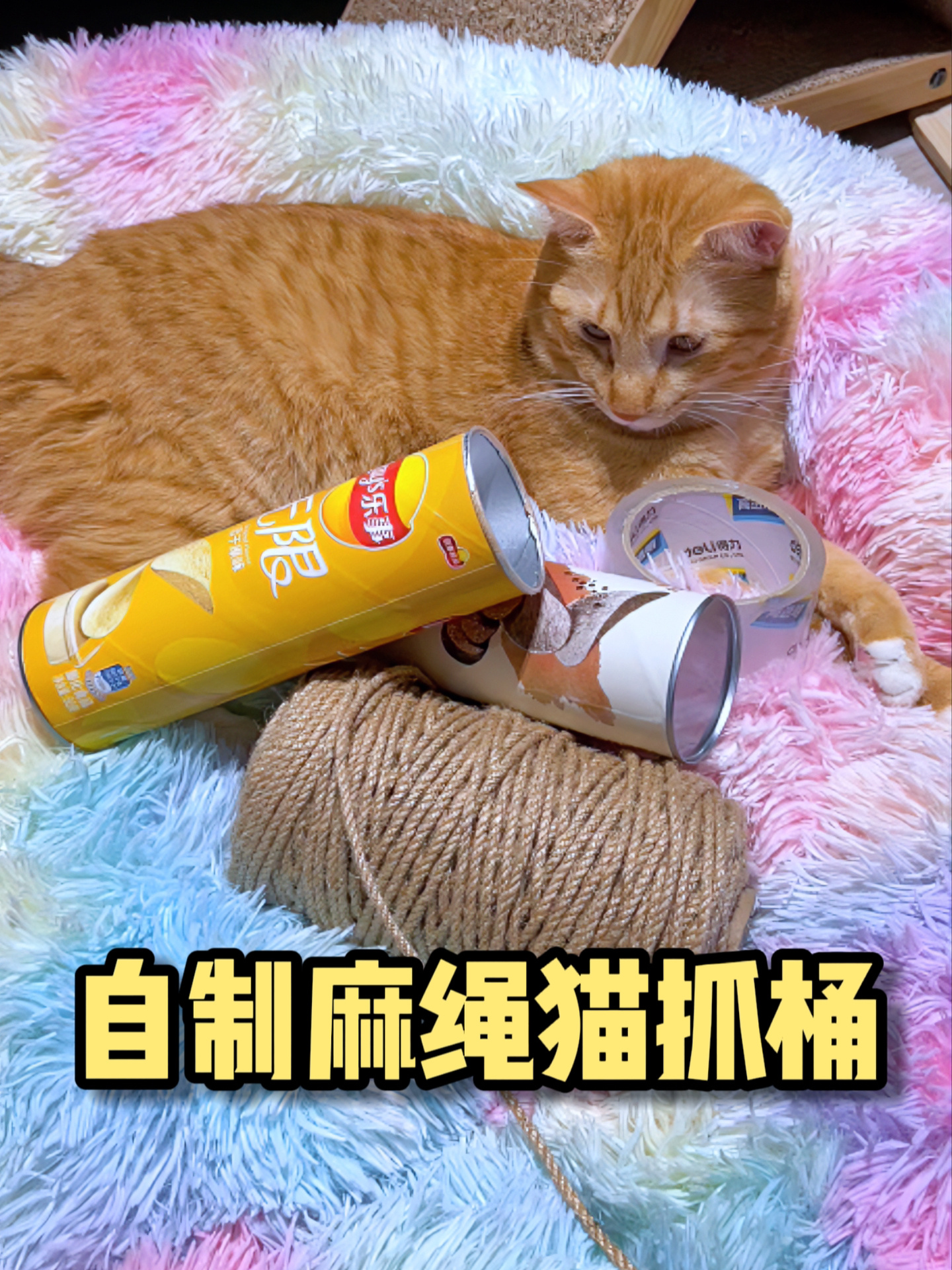 用麻绳和薯片罐diy猫抓桶～有手就会那种