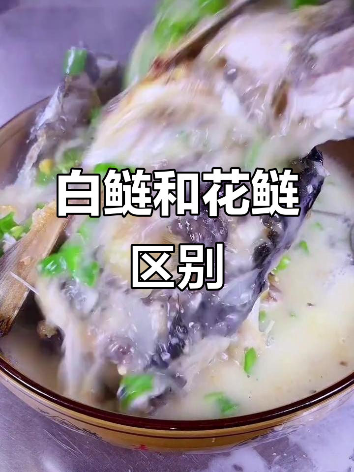 白鲢与花鲢的区别,你了解吗?