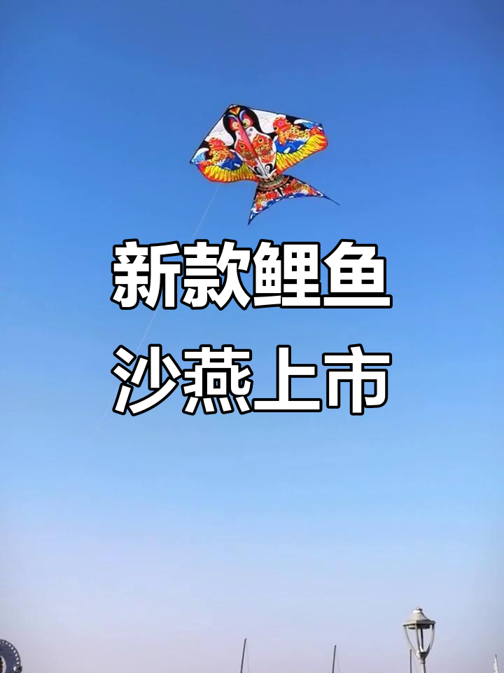 今晚6点半,新款鲤鱼沙燕风筝震撼登场!