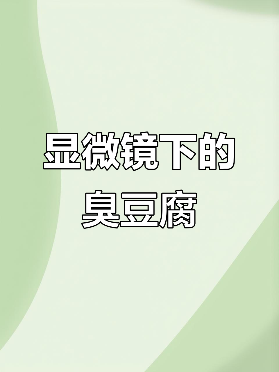 臭豆腐的微观世界,看看你爱吃的是什么
