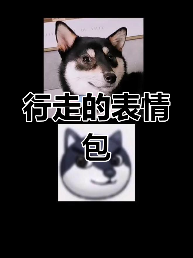 柴犬表情包大集合