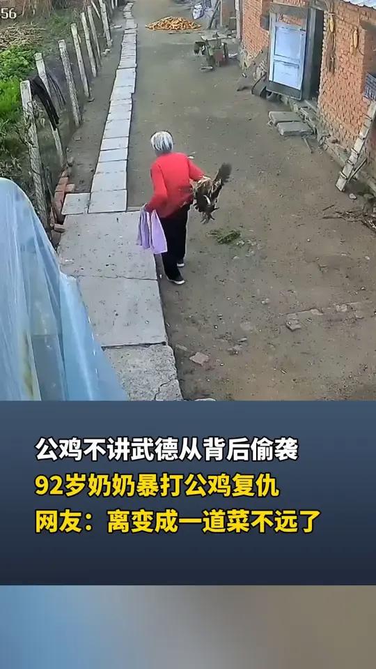 公鸡不讲武德从背后偷袭 92岁奶奶暴打公鸡复仇 网友:离变成一道菜不远了 来源