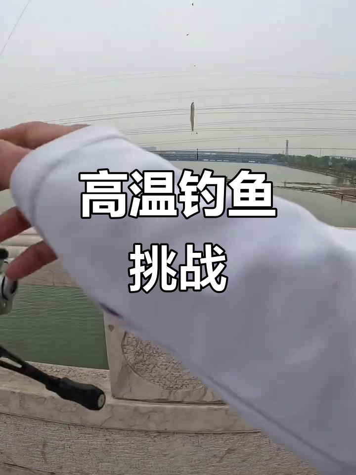永定河钓小公鱼,高温下居然还有口!