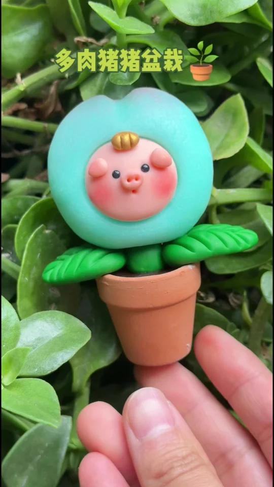 用粘土捏了个猪猪多肉