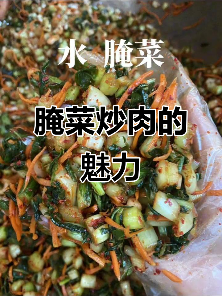 云南腌菜炒肉,百吃不厌,搭配各种食材都美味!