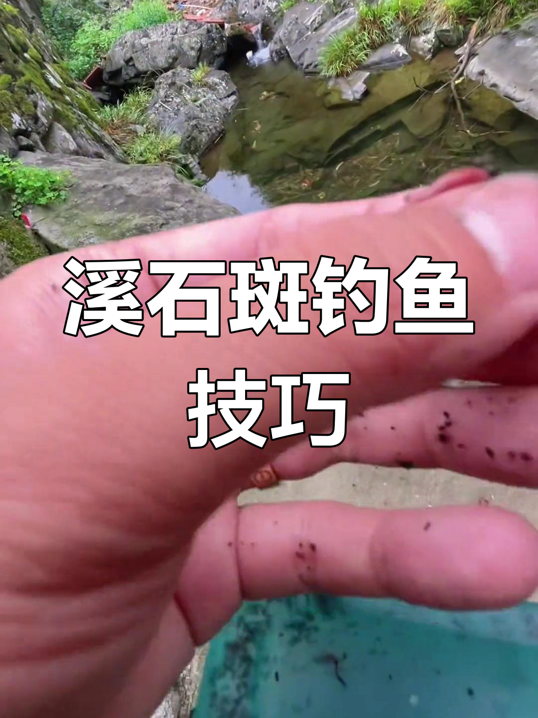 溪石斑钓法揭秘:最有效的鱼饵选择