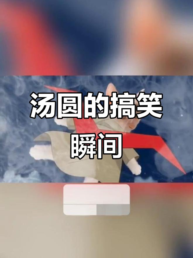 汤圆的高光时刻,沙雕猫表情包大赏