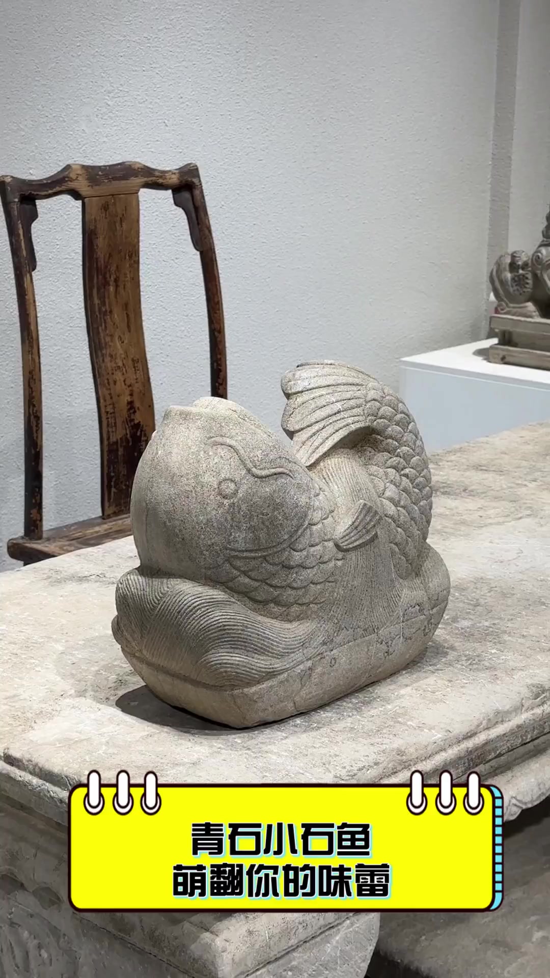 青石小石鱼,萌翻你的味蕾