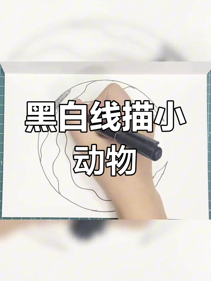 小动物们的黑白线描画,炸鸡烤鸭水煮鱼都能变可爱!