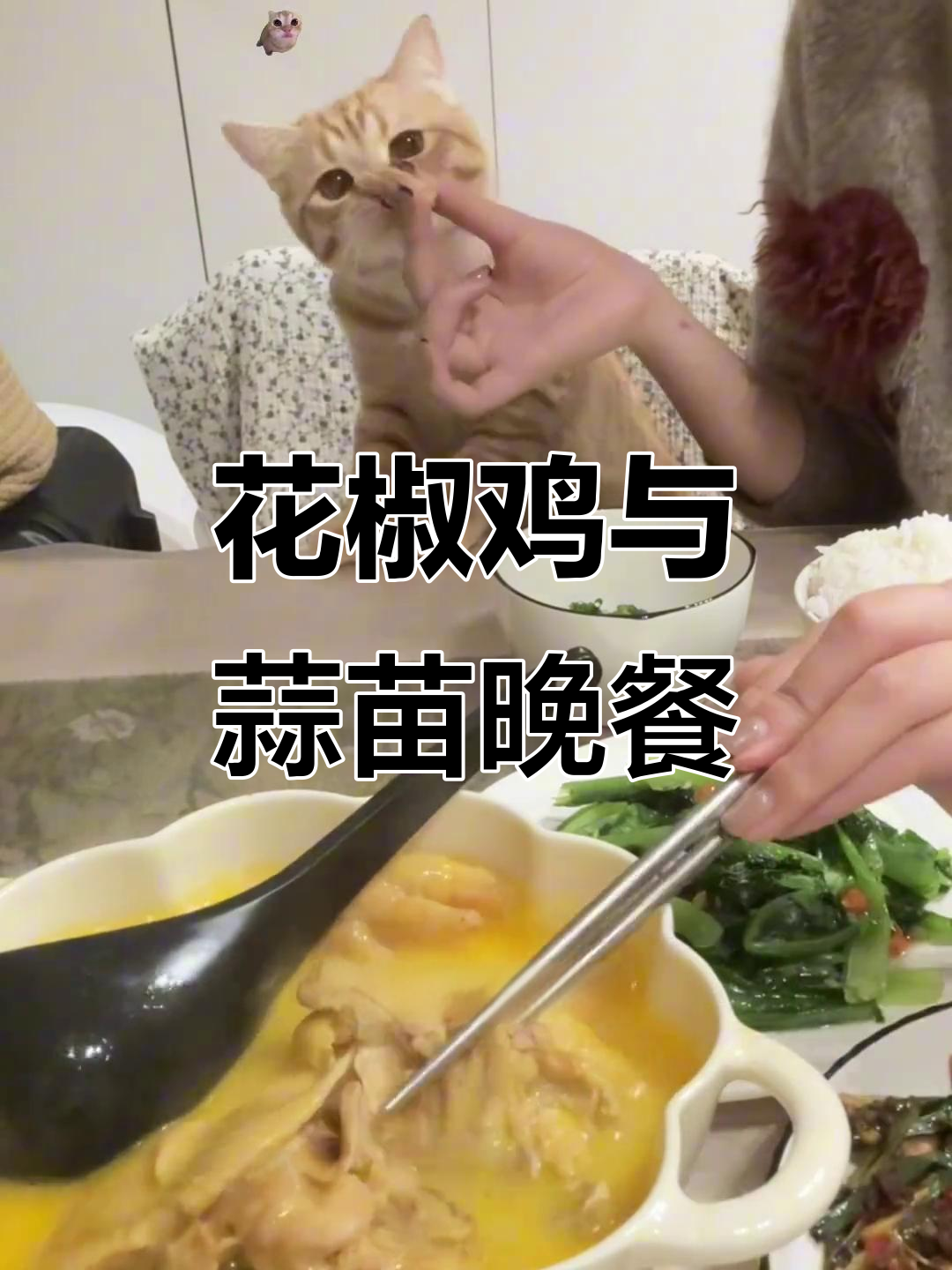 独居日记:花椒鸡、蒜苗炒香干,晚餐超美味