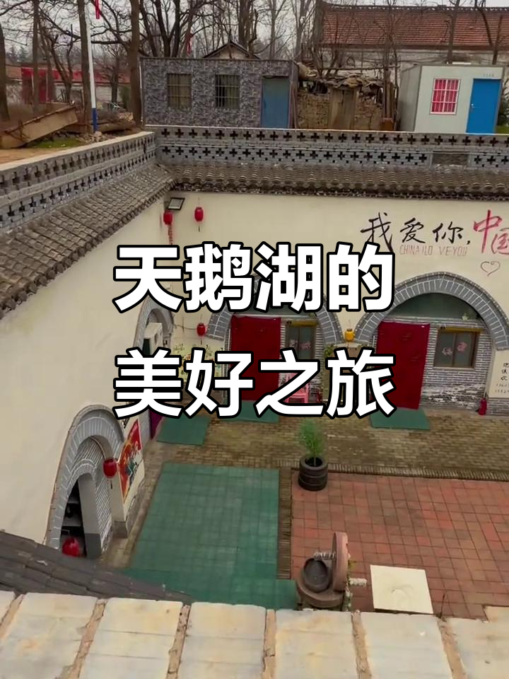 冬日天鹅湖湿地公园,相信美好就在眼前