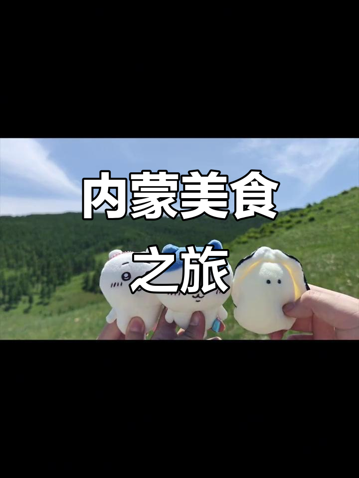 呼和浩特四日游,烧烤、烧麦与蒙古奶茶的美味之旅