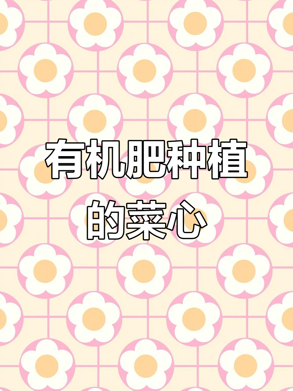 增城菜心:有机肥助力,十二月上市