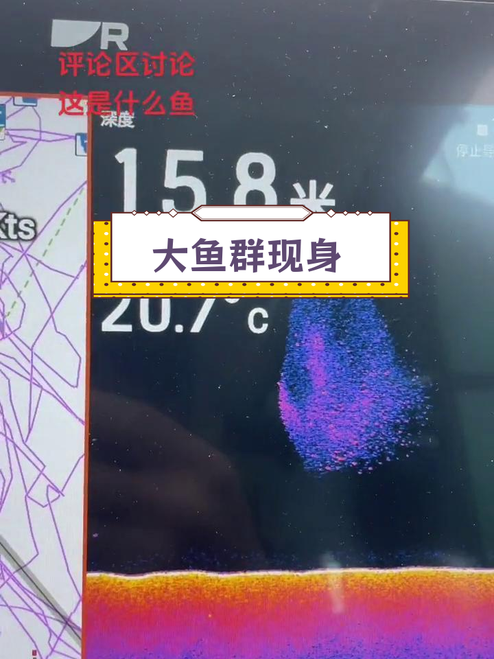 雷松探鱼器发现大群刀鲅,水深16米