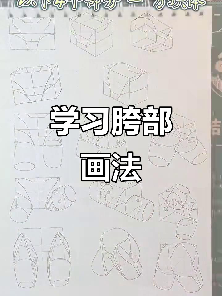 胯部结构解析与绘制技巧,掌握人体比例和肌肉分布