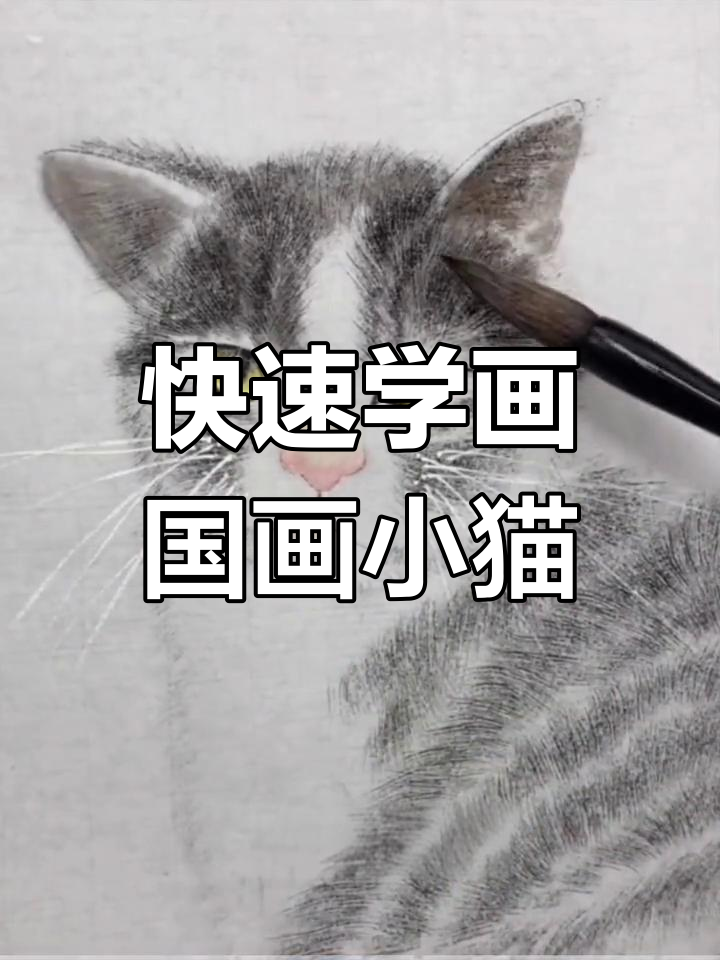 一分钟学会国画小猫,简单步骤教你画出可爱萌宠