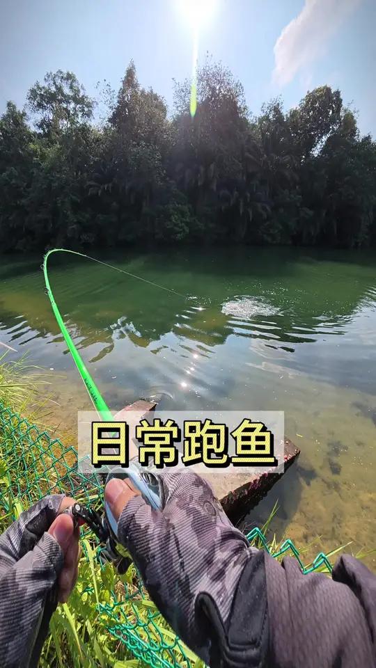 日常跑鱼|帝王三间