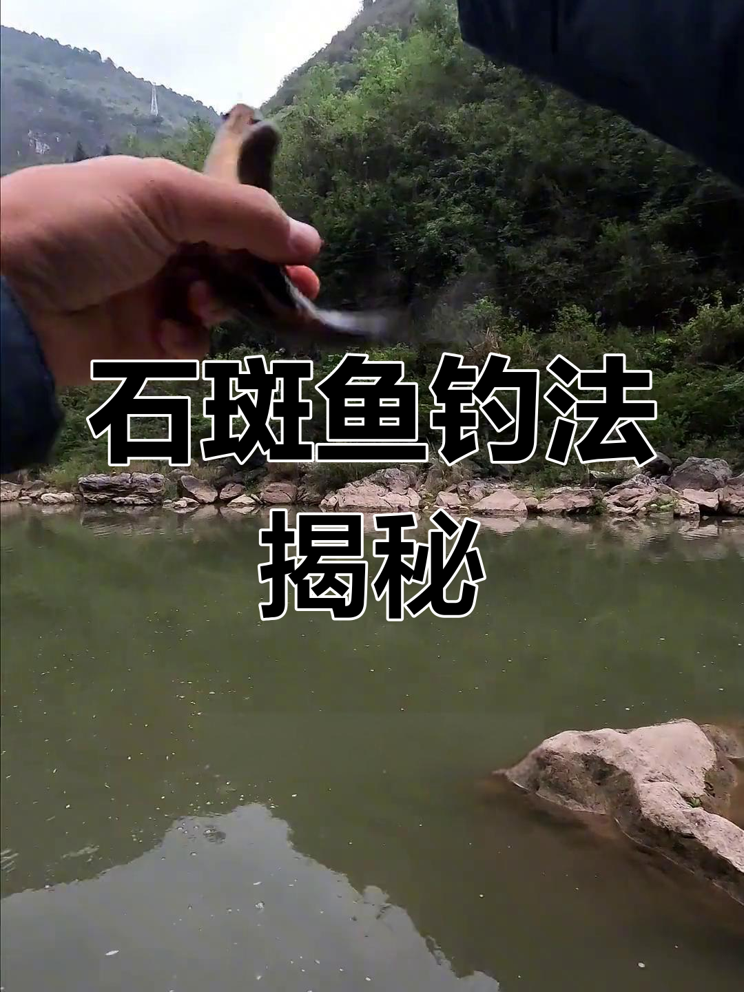 溪流钓石斑鱼技巧:打窝守候,风大也能轻松钓鱼