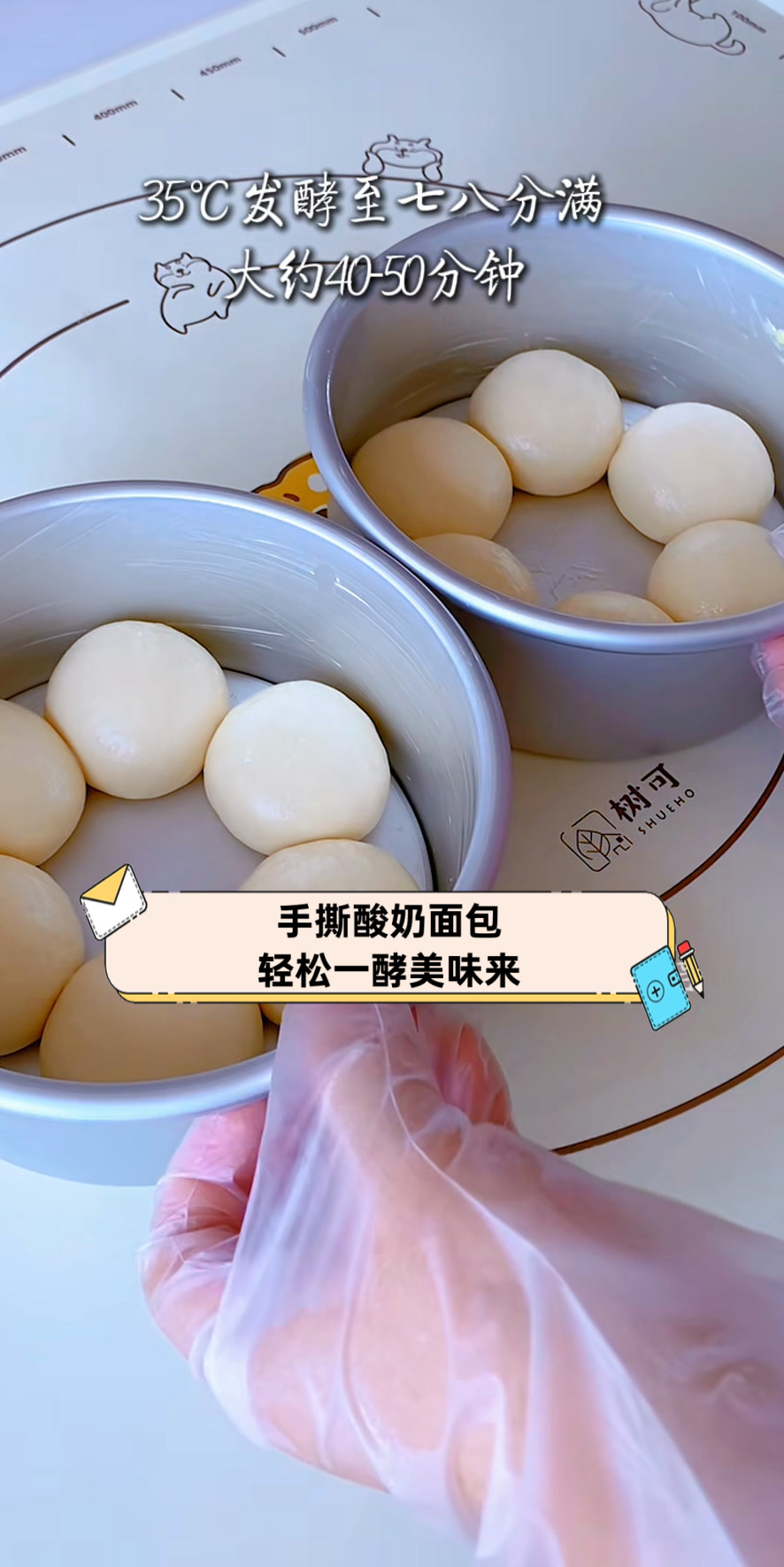 手撕酸奶面包,轻松一酵美味来