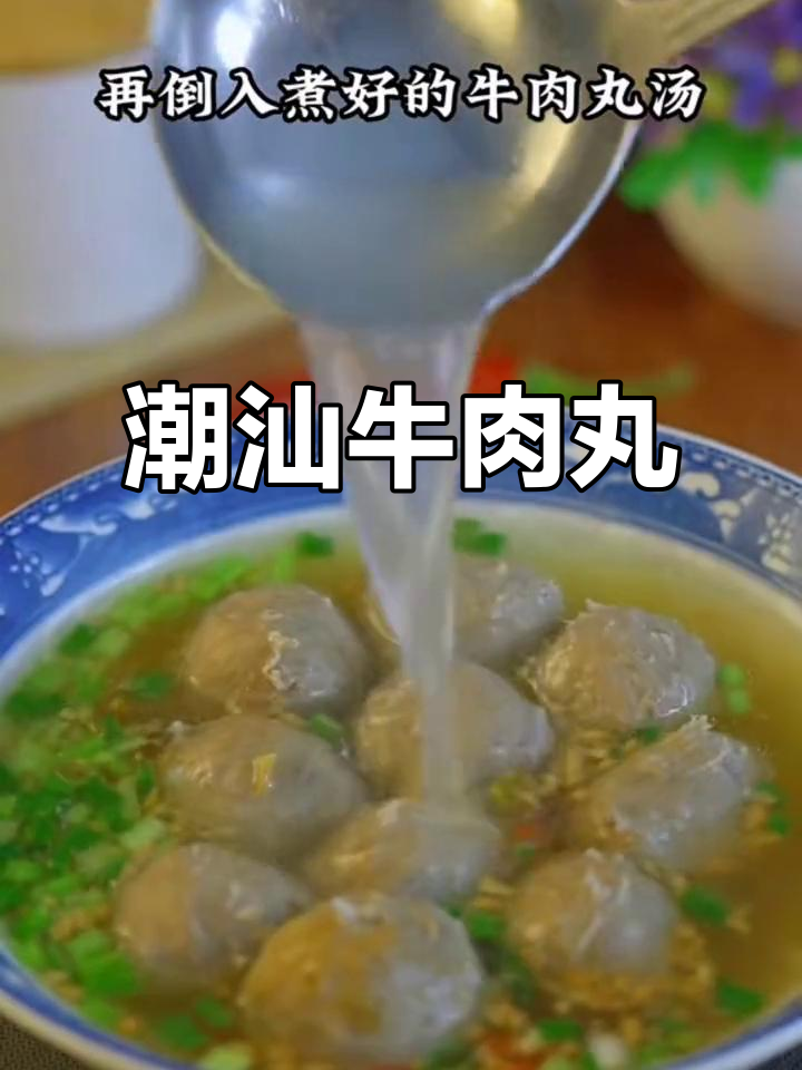 潮汕牛肉丸,软糯香脆,汤火锅皆宜,回味无穷