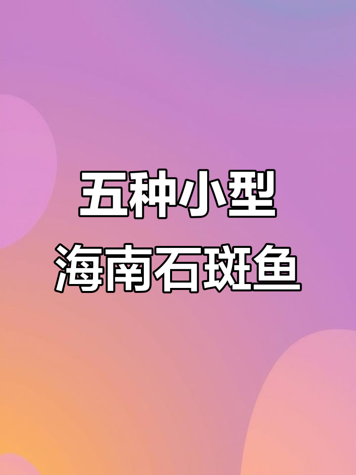 海南常见五种小石斑鱼，哪种最美味？