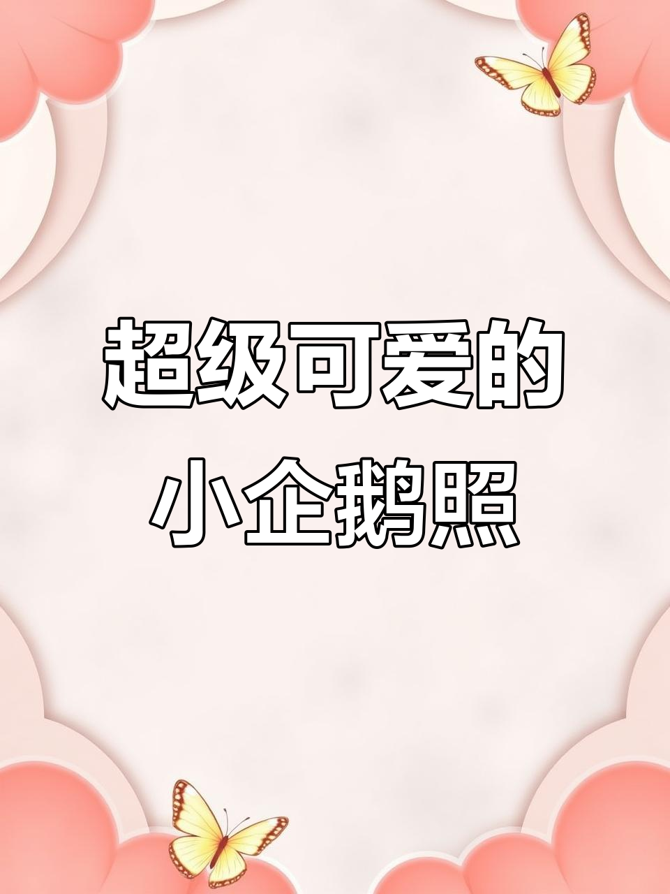这些小企鹅照片太可爱了,每一张都想当头像!