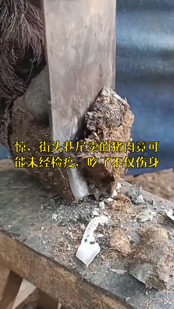 未检疫猪肉如何处罚