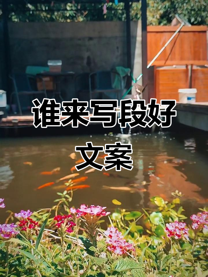 抖音文案急求!谁能来配个吸引人的句子?