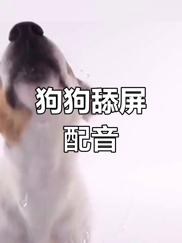 狗狗舔屏配音,动态壁纸超萌
