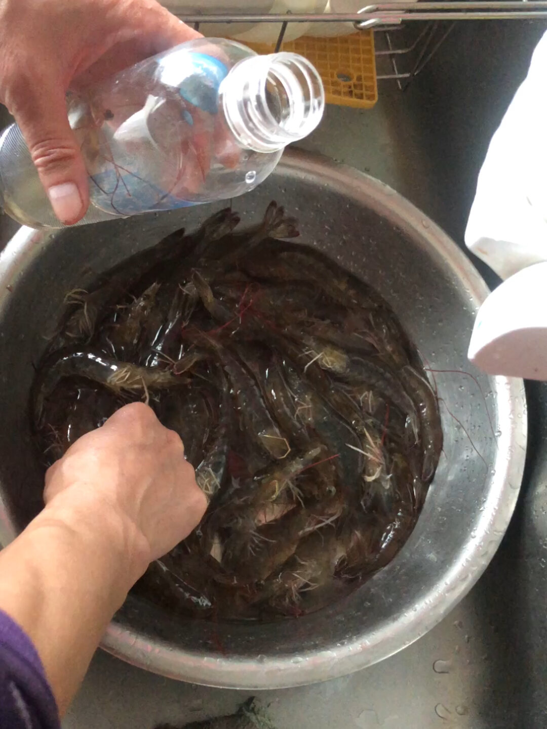 活基围虾保存方法