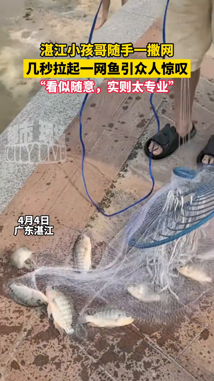 湛江小孩哥随手一撒网,几秒拉起一网鱼引众人惊叹