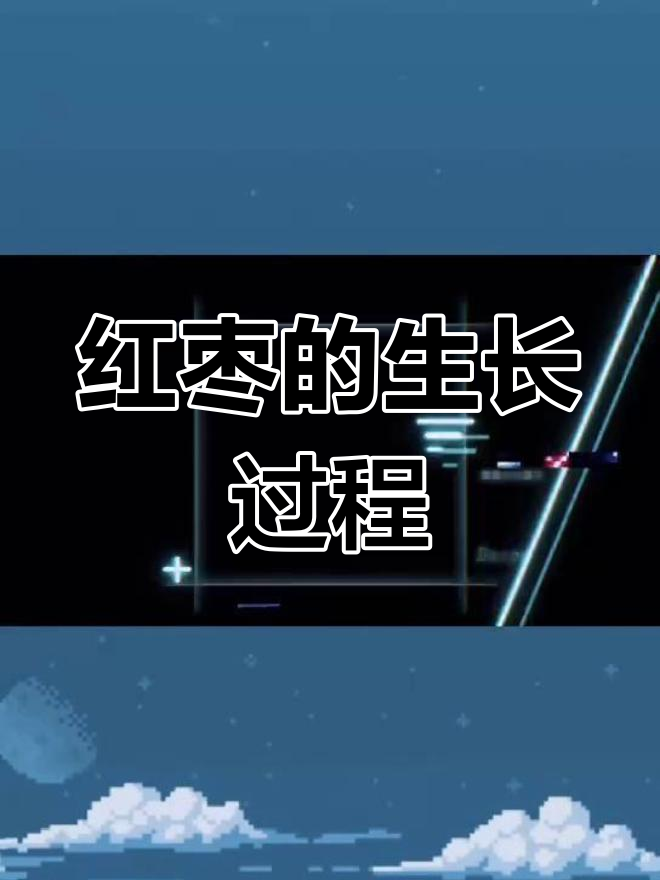 红枣生长全过程揭秘