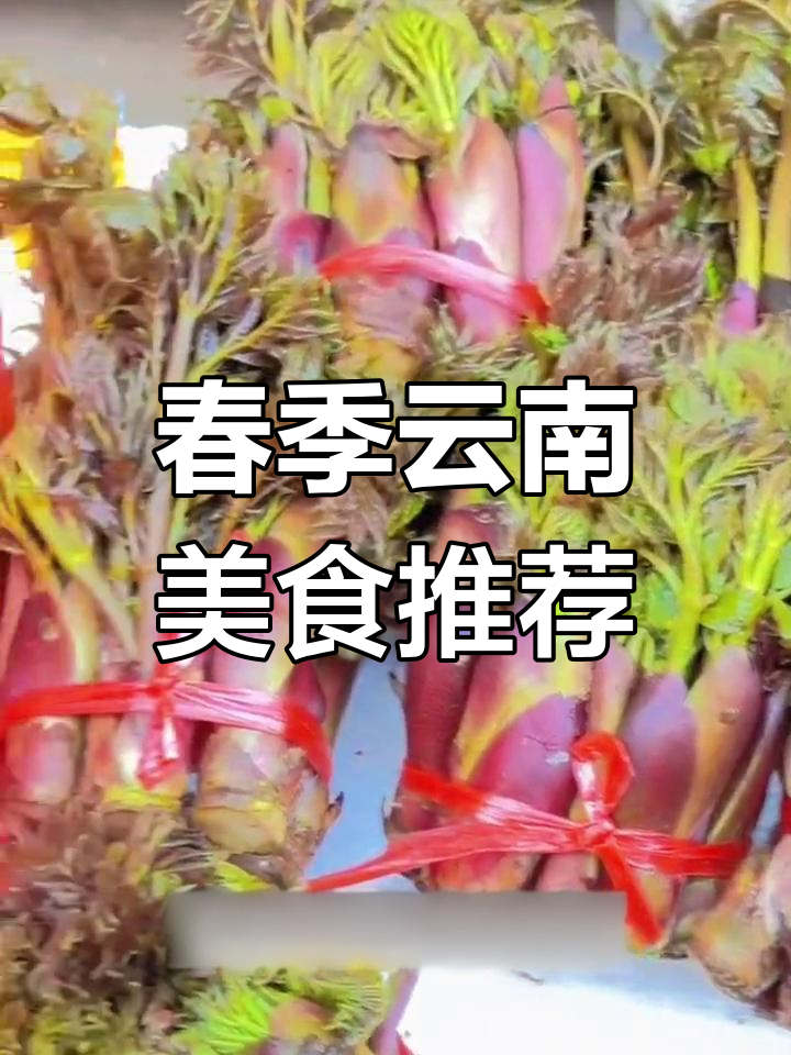 云南春天必吃美味,树头菜炒火腿香嫩又带刺