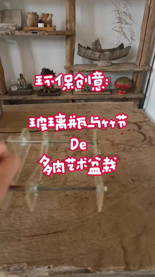  环保创意  用玻璃瓶和竹节制作的多肉植物盆栽,既美观又环保!快来看看如何将废物变成艺术,