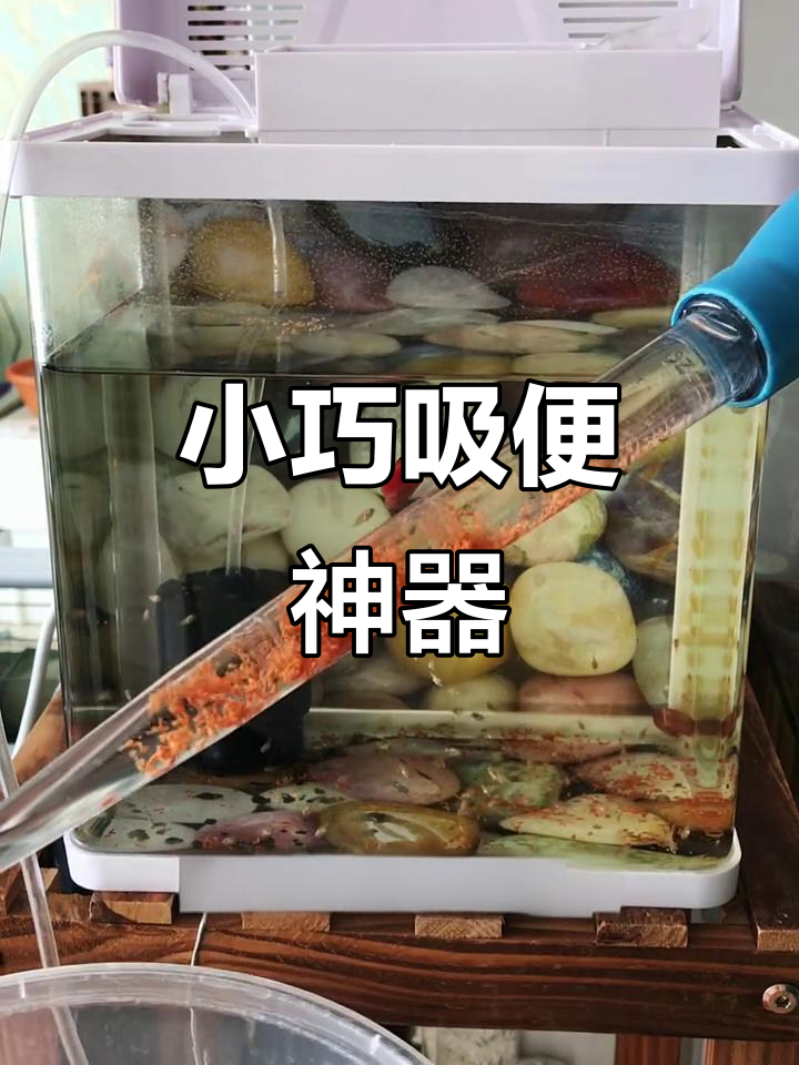 迷你吸便器,轻松清理鱼缸底部杂物