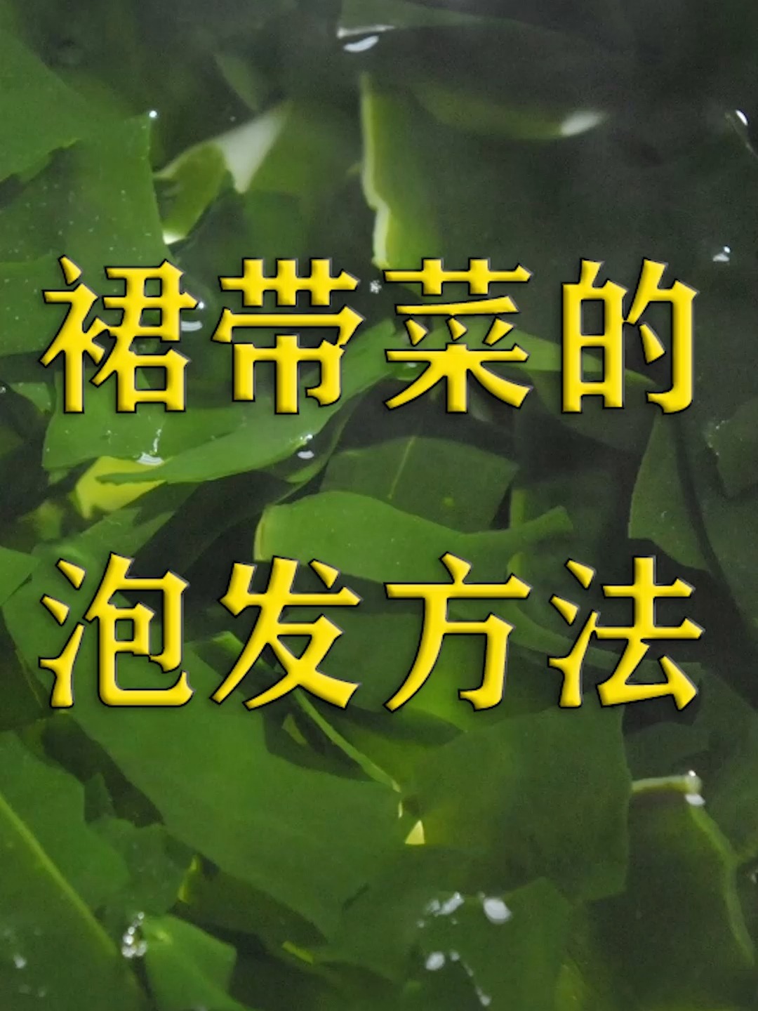 裙带菜的泡发方法