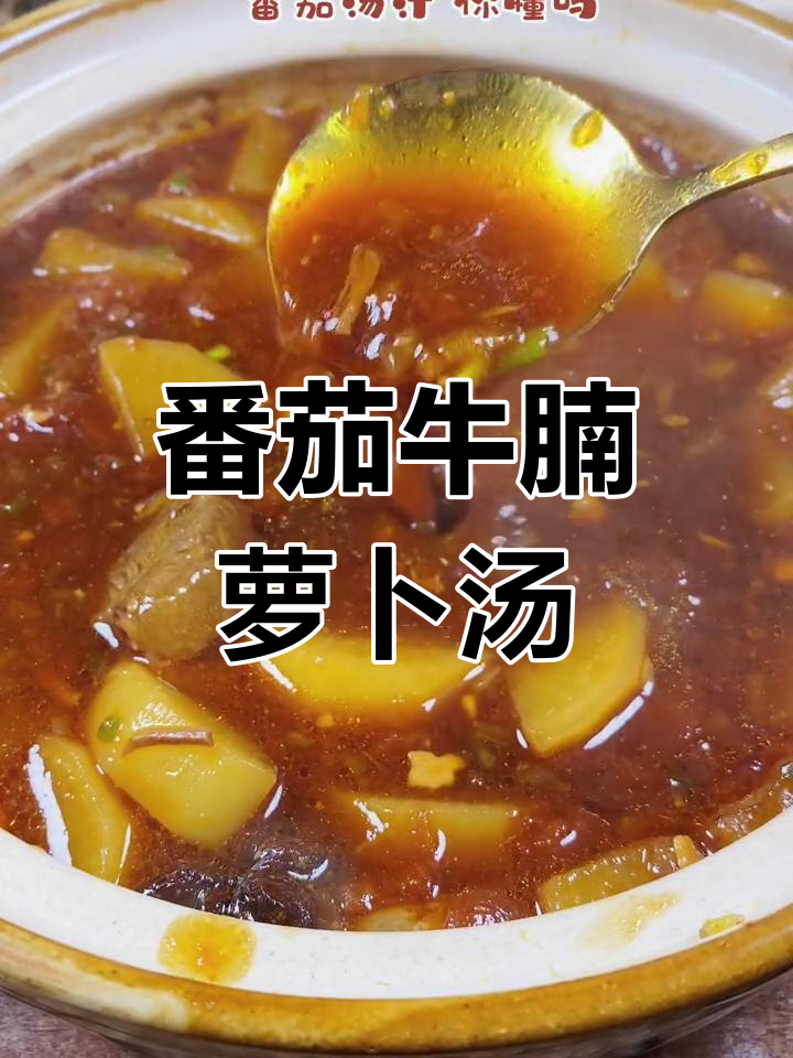 冬季滋补番茄萝卜炖牛肉,汤汁浓郁开胃