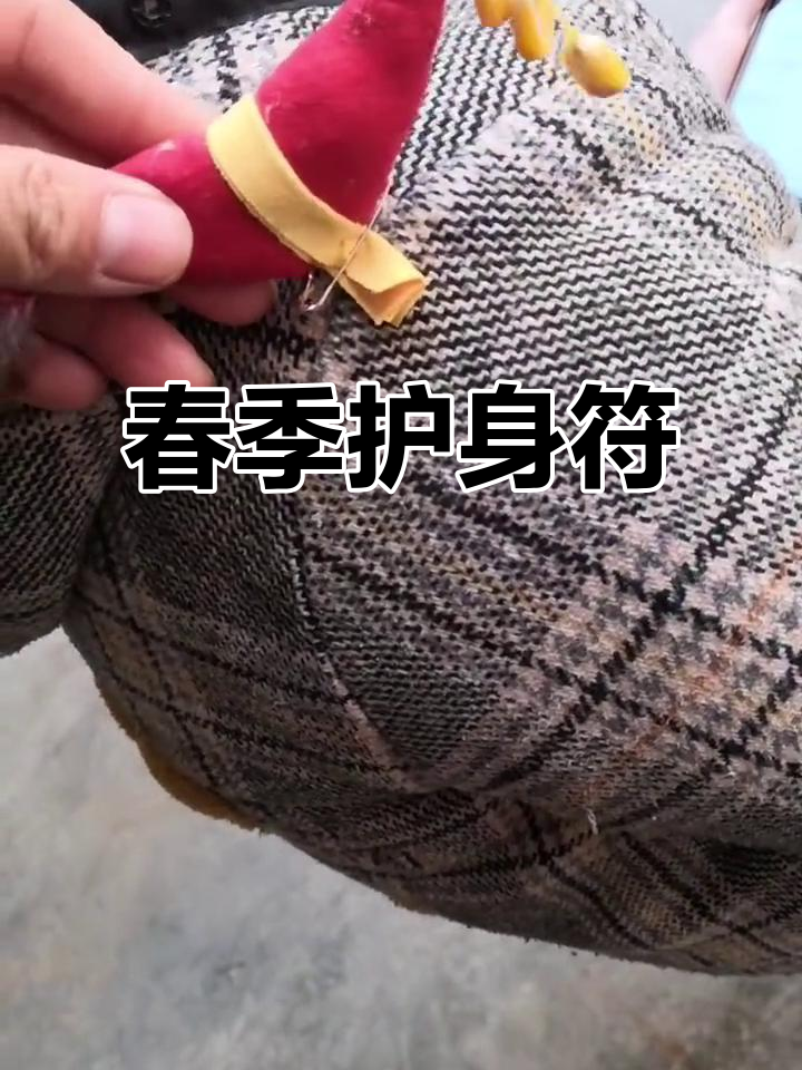 在立春时,缝上春鸡护身符,祈愿孩子健康平安