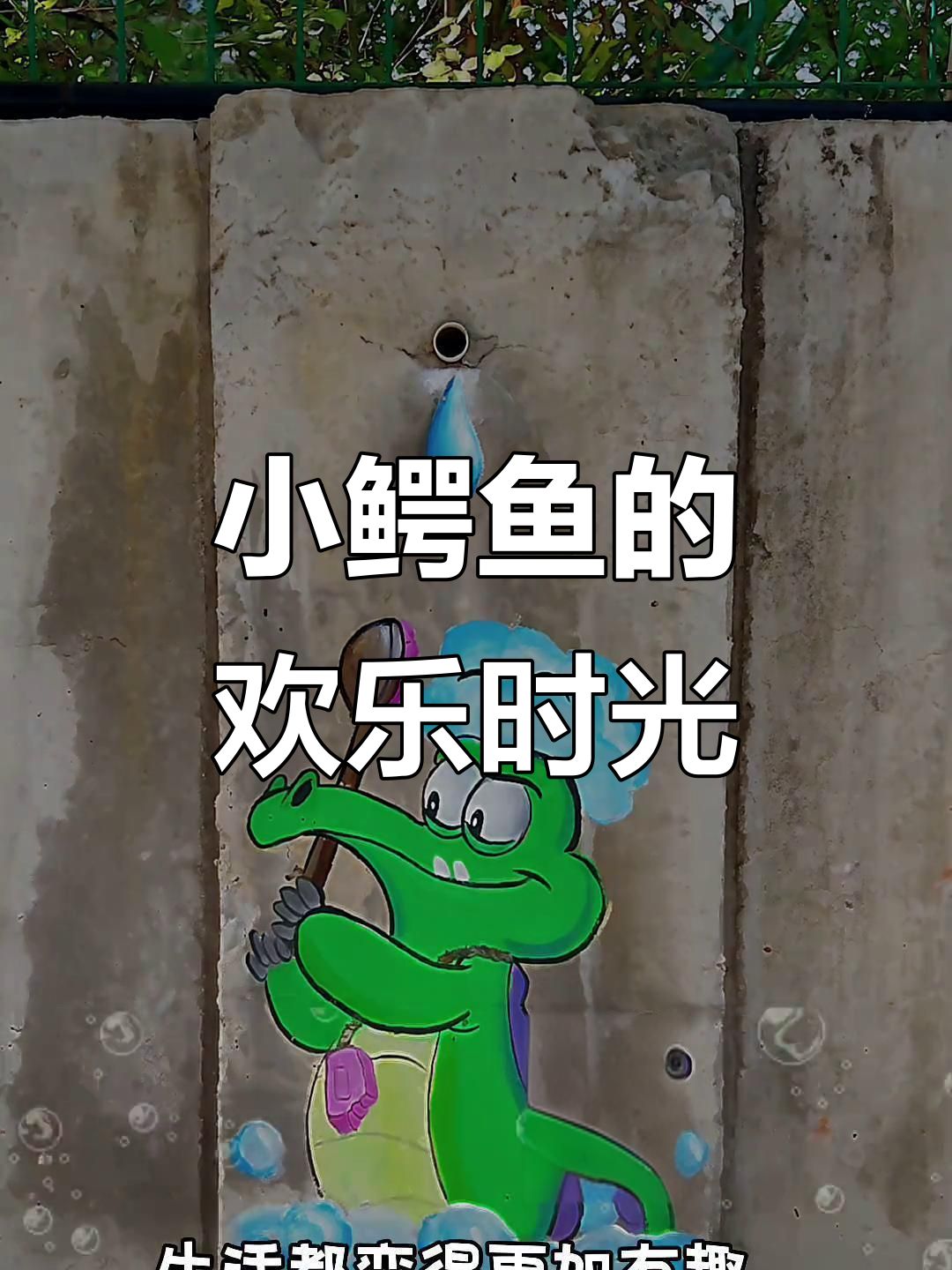 谁说鳄鱼不能可爱?快乐就像泡泡一样简单