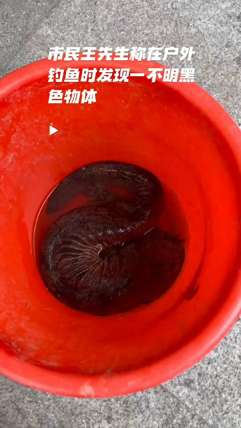 祝福祖国守护平安「派出所来了一位“贵客”」10月4日6时许,崇明长兴岛一热心市民王先生称在