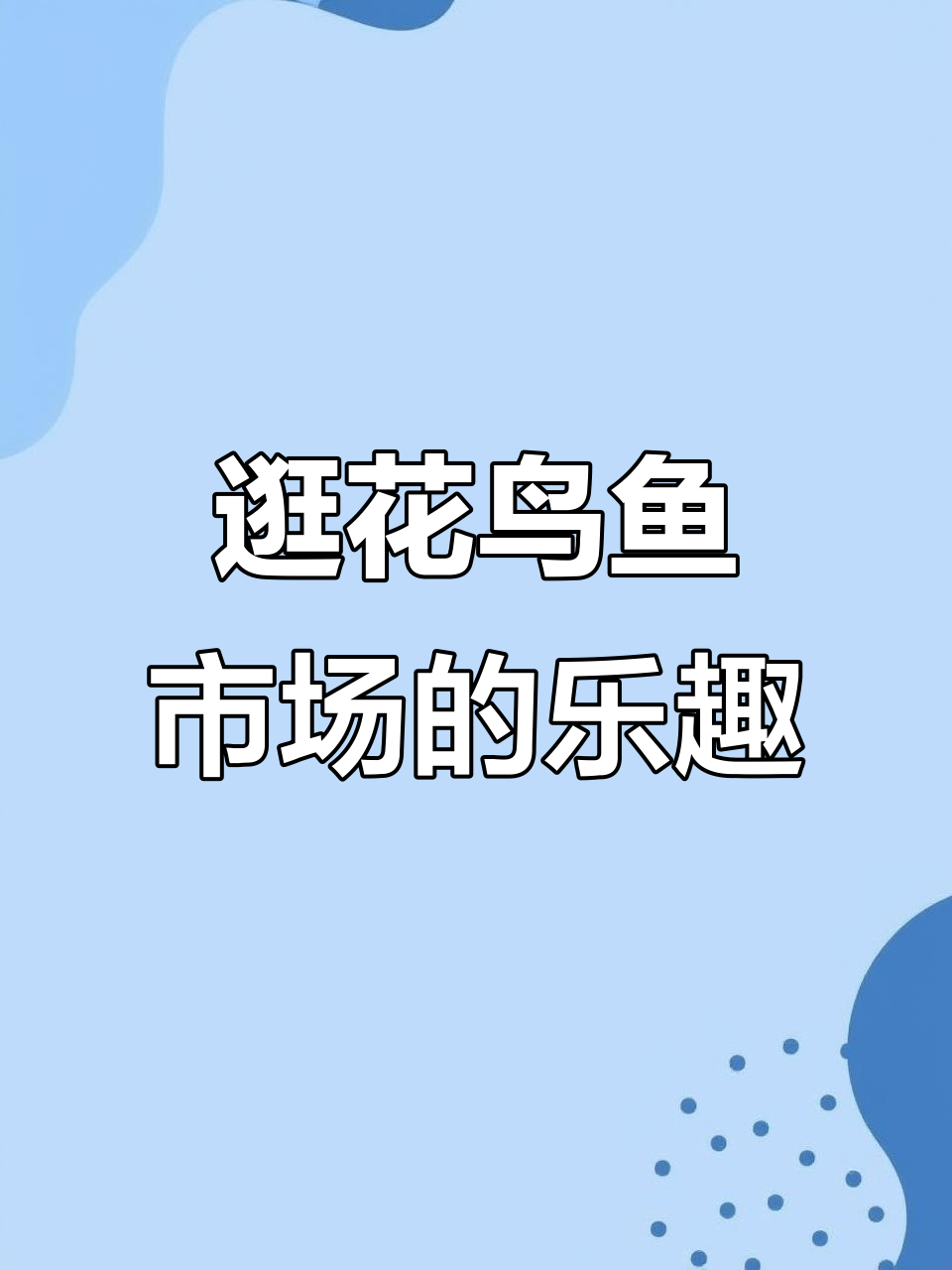 梅河口花鸟鱼市场:鲜花、金鱼与生活的烟火气